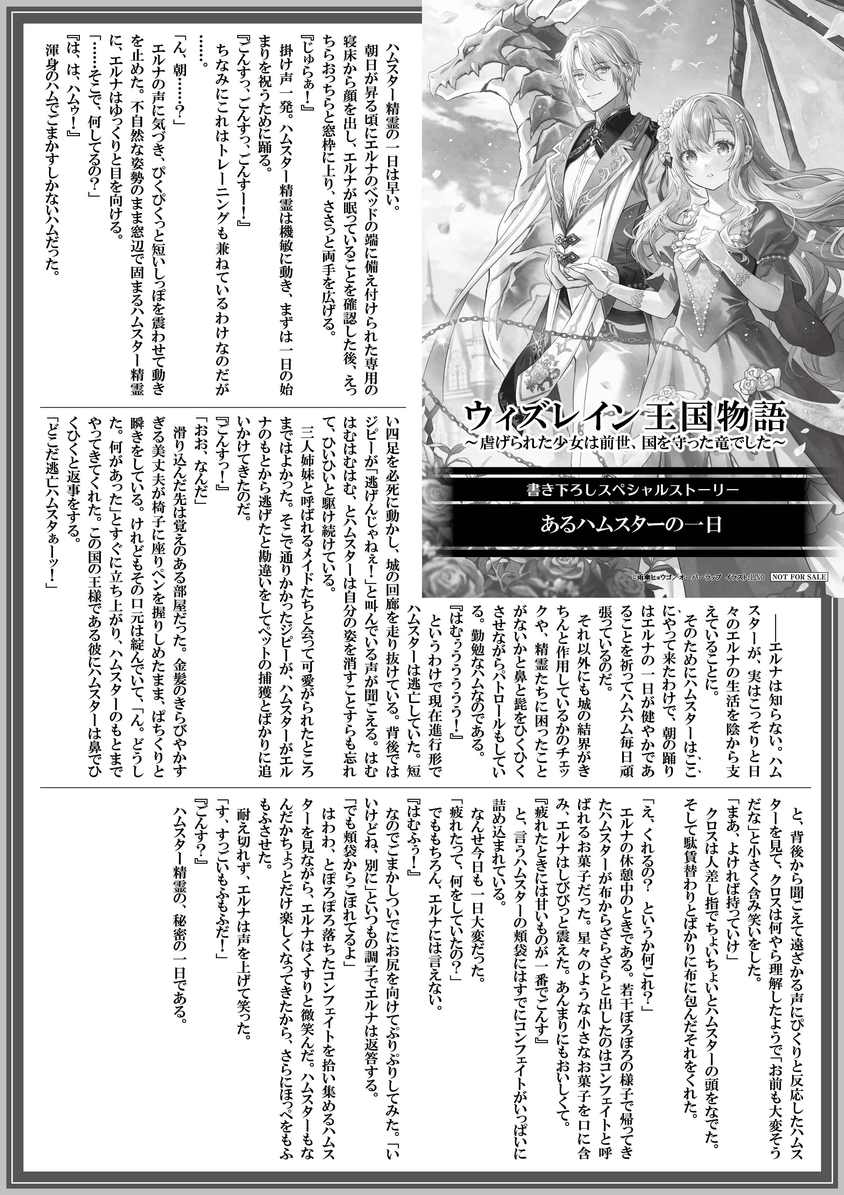 【ノベルス】『ウィズレイン王国物語　～虐げられた少女は前世、国を守った竜でした～』A4SSペーパー.ai